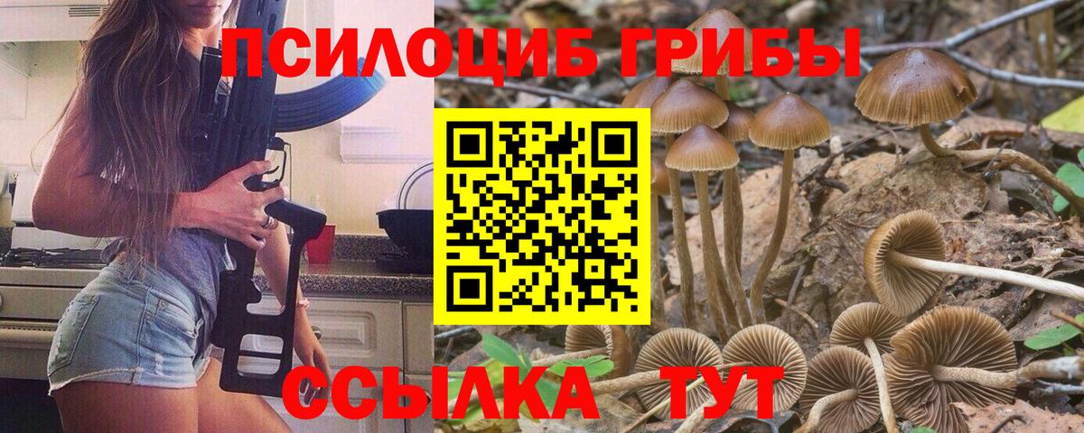 Галлюциногенные грибы прущие грибы  Вход с VPN  Славянск-на-Кубани  Псилоцибиновые грибы ЛСД 