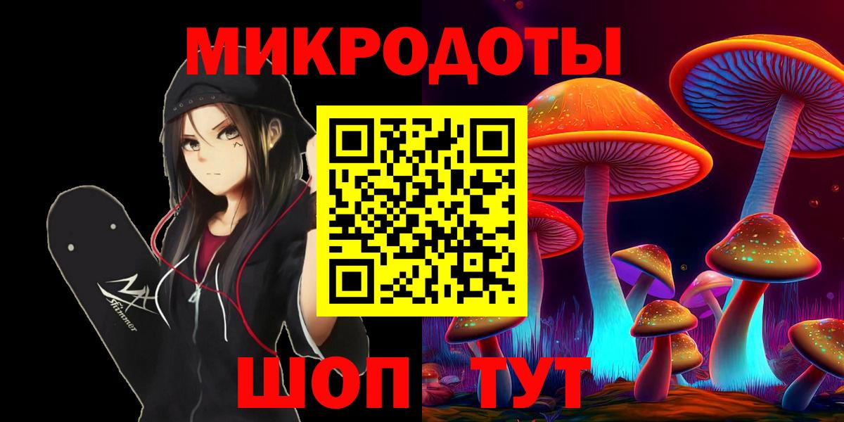 Галлюциногенные грибы Psilocybine cubensis Славянск-на-Кубани